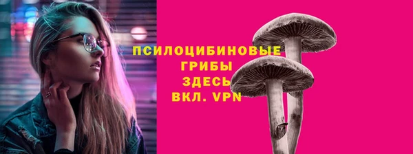 apvp Алексеевка