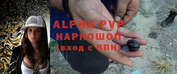метадон Алексин