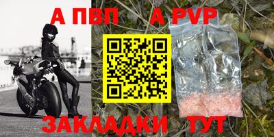 PSILOCYBIN Можга