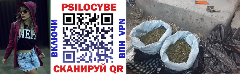 Галлюциногенные грибы мицелий Полысаево