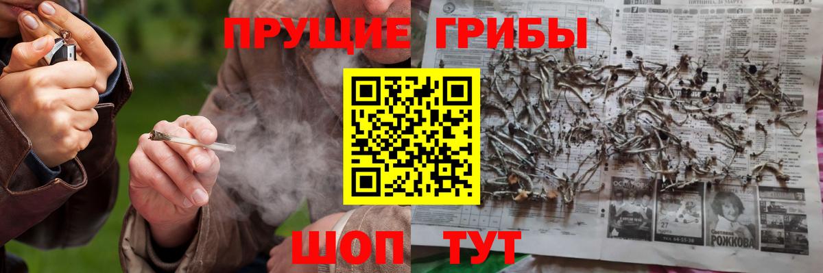 Полысаево  Псилоцибиновые грибы GOLDEN TEACHER  Вход с VPN 